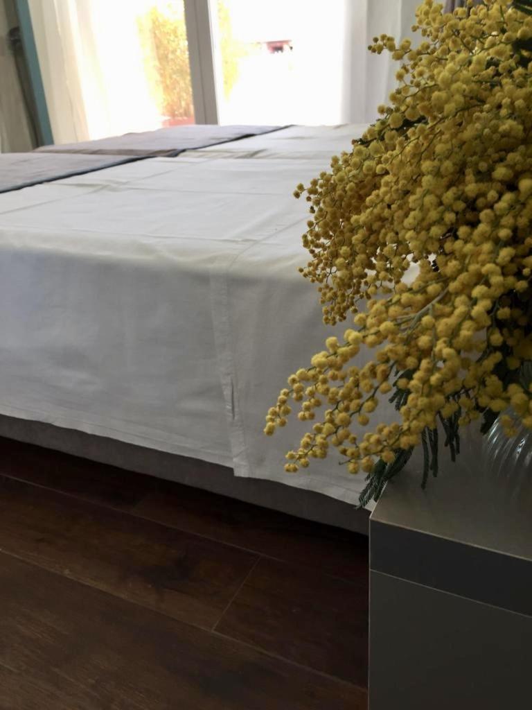 Amberyellowbnb Szkodra Zewnętrze zdjęcie